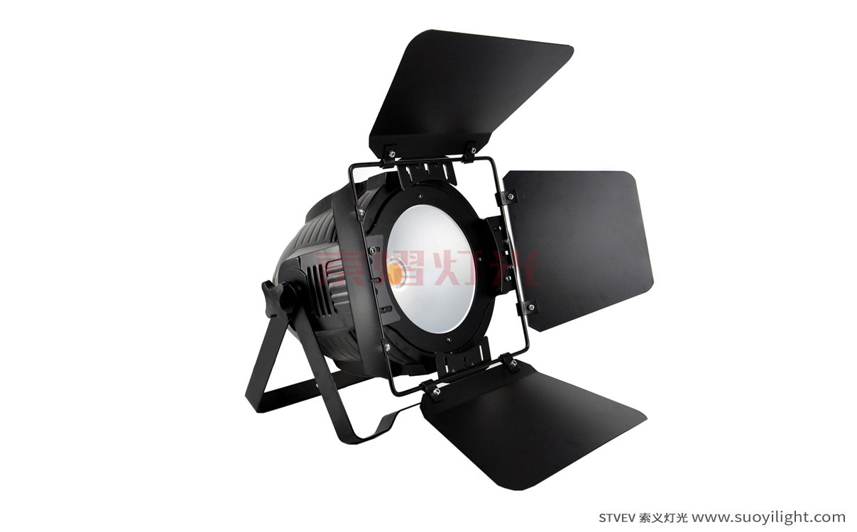 South-Africa200W COB LED Par Light