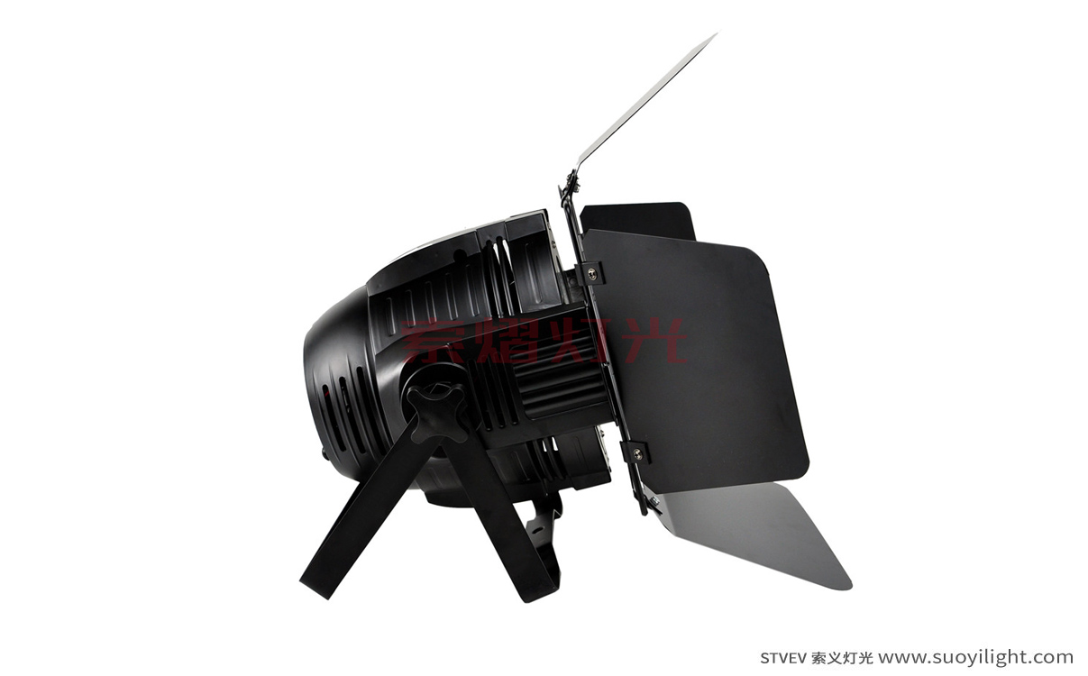South-Africa200W COB LED Par Light