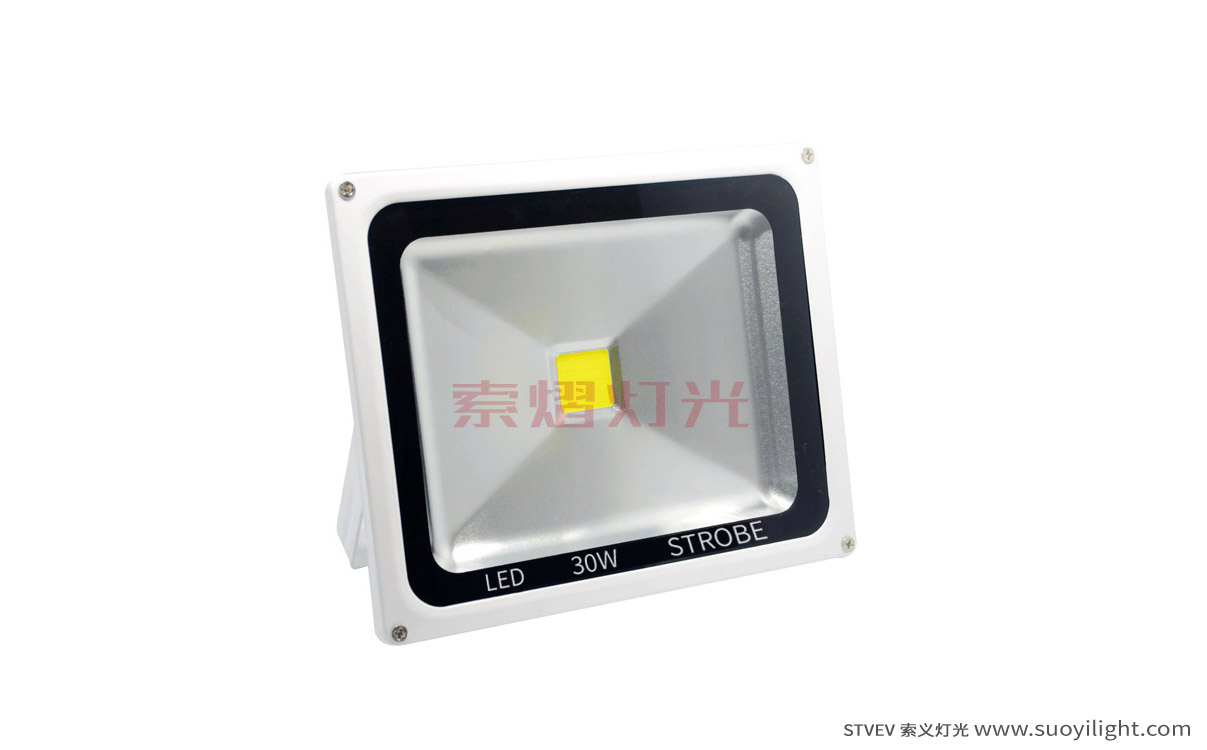 South-Africa30W LED Strobe Light
