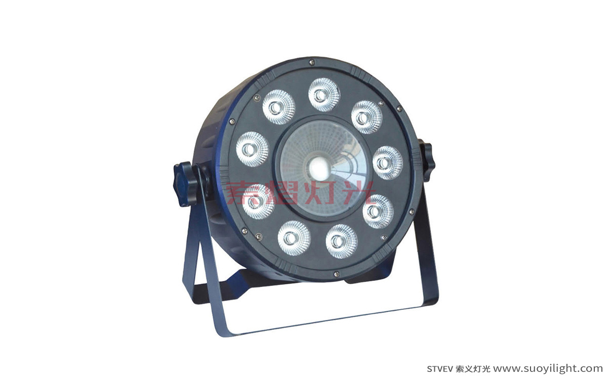 South-Africa9+1 LED Plastic Par Light