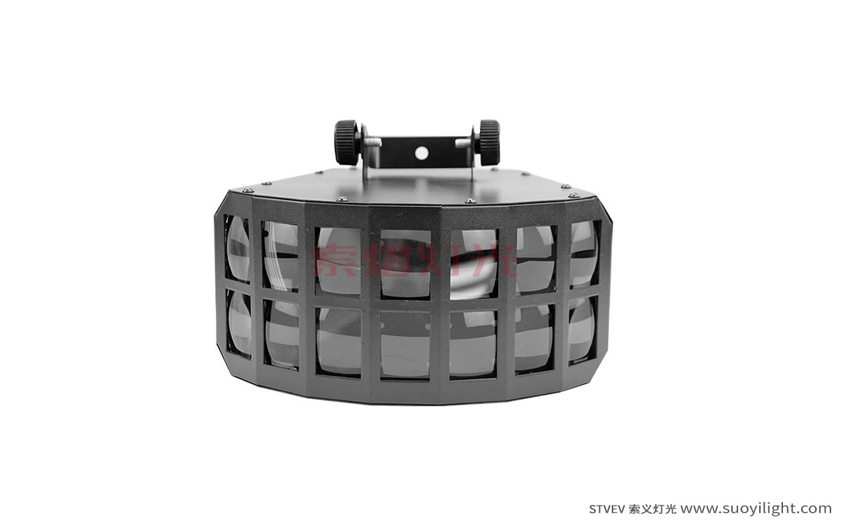 South-AfricaLED Double Butterfly Light
