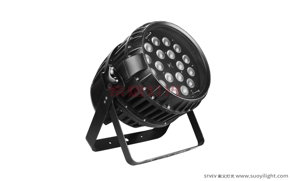 South-Africa18*10W LED Zoom Waterproof Par Light