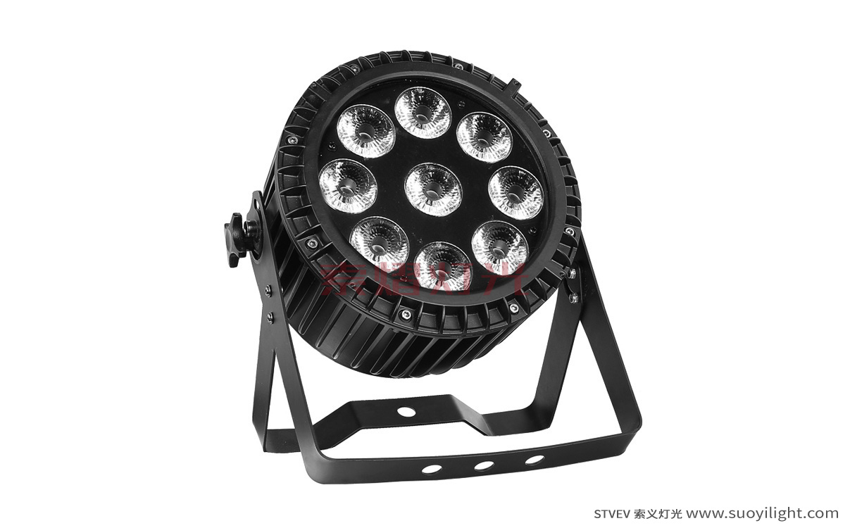 South-Africa9*12W 4 in 1 Waterproof LED Par Light