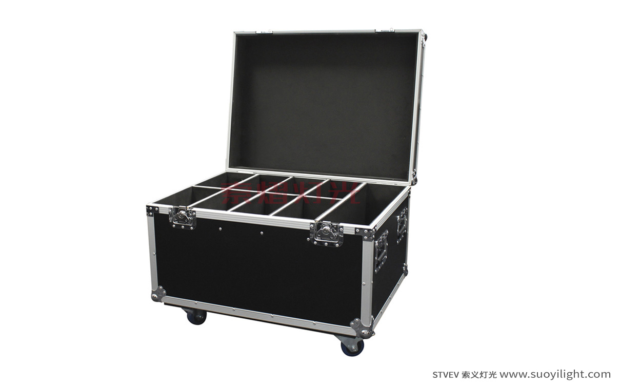 South-Africa8in1 Par Light Flight Case