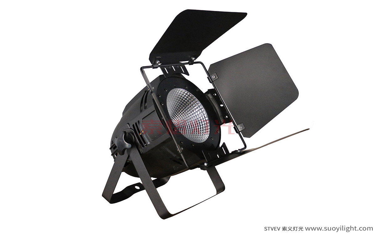 South-Africa100W LED COB Par Light