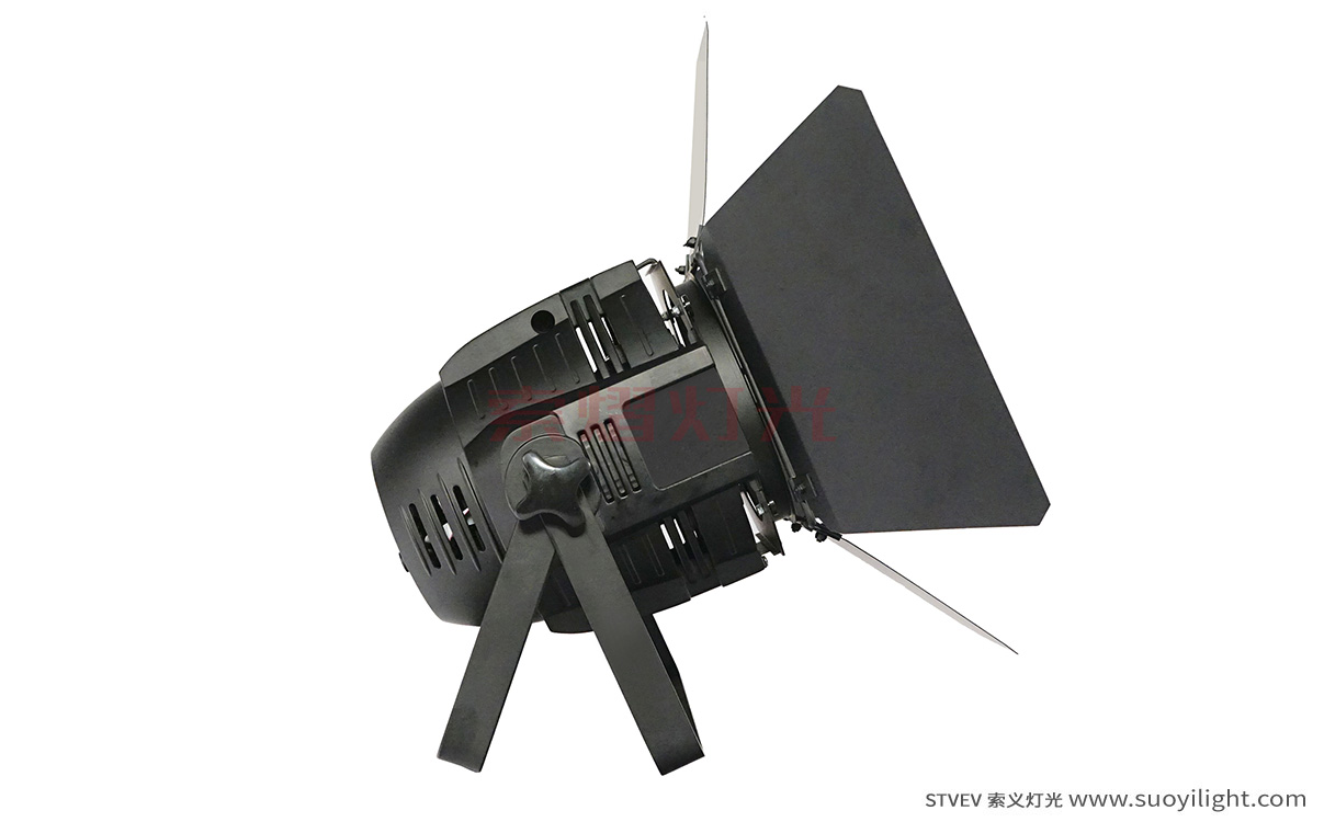 South-Africa100W LED COB Par Light