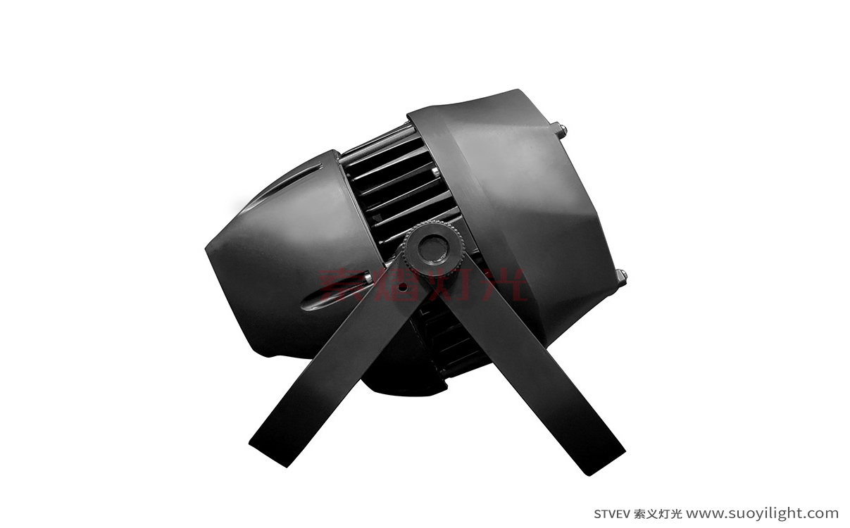 South-Africa200W Waterproof COB Par Light