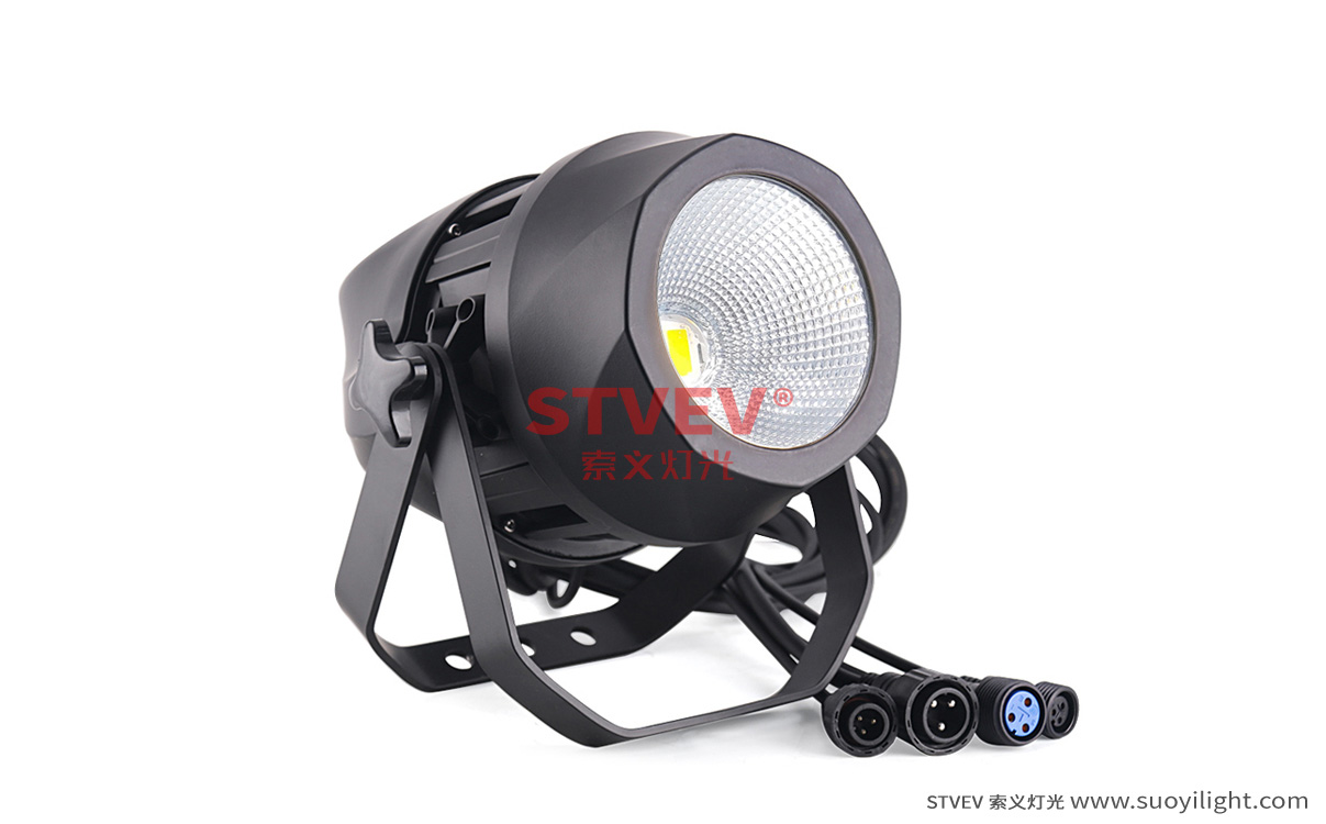 South-Africa200W Waterproof COB Par Light