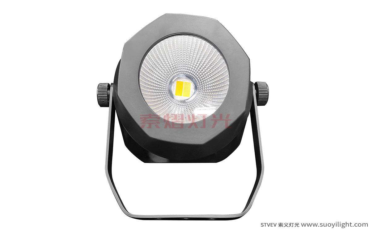 South-Africa200W Waterproof COB Par Light