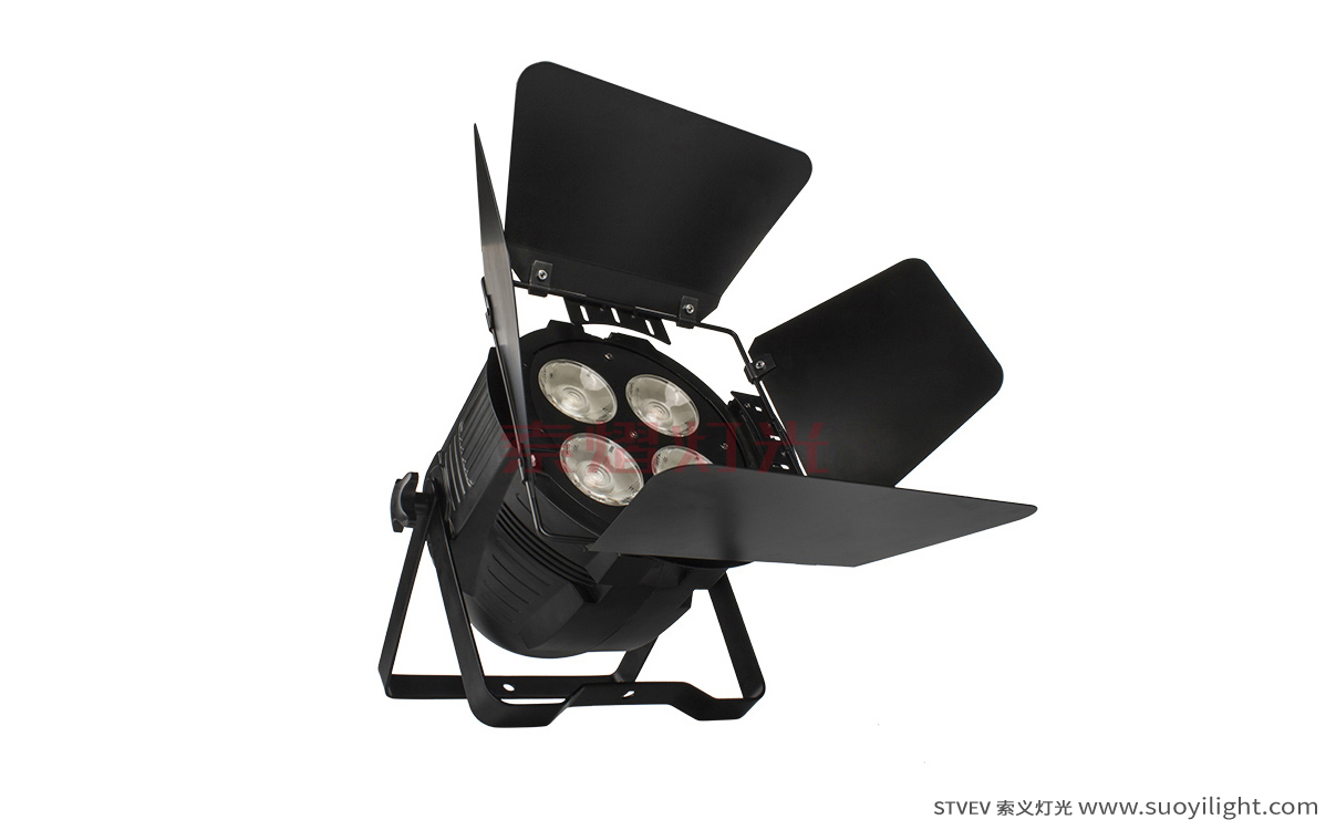 South-Africa4 Eyes 200W COB Par Light