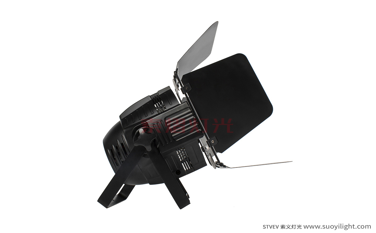 South-Africa4 Eyes 200W COB Par Light